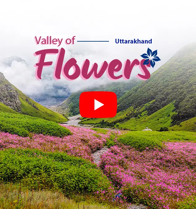 Valley of Flowers Trek    Informative Video